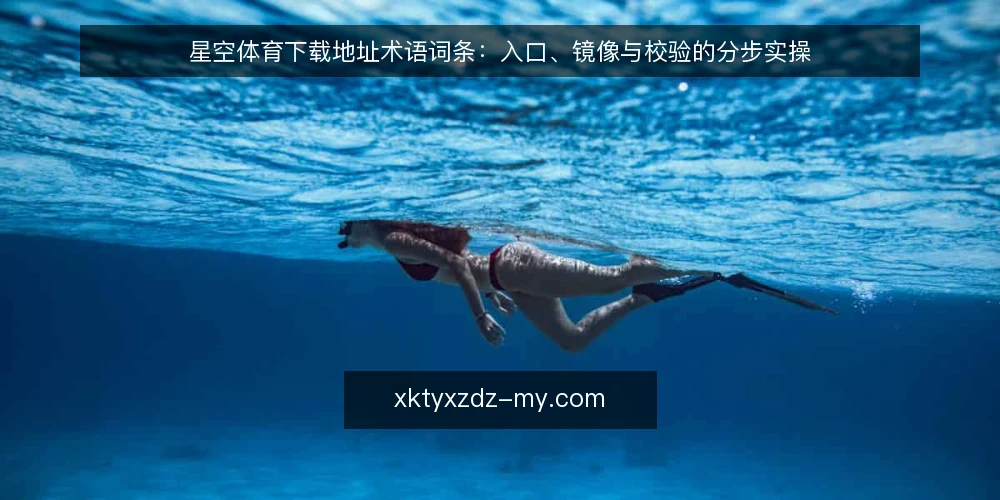 星空体育下载地址术语词条:入口、镜像与校验的分步实操 — 先备术语表:入口、镜像、校验与回滚 配图