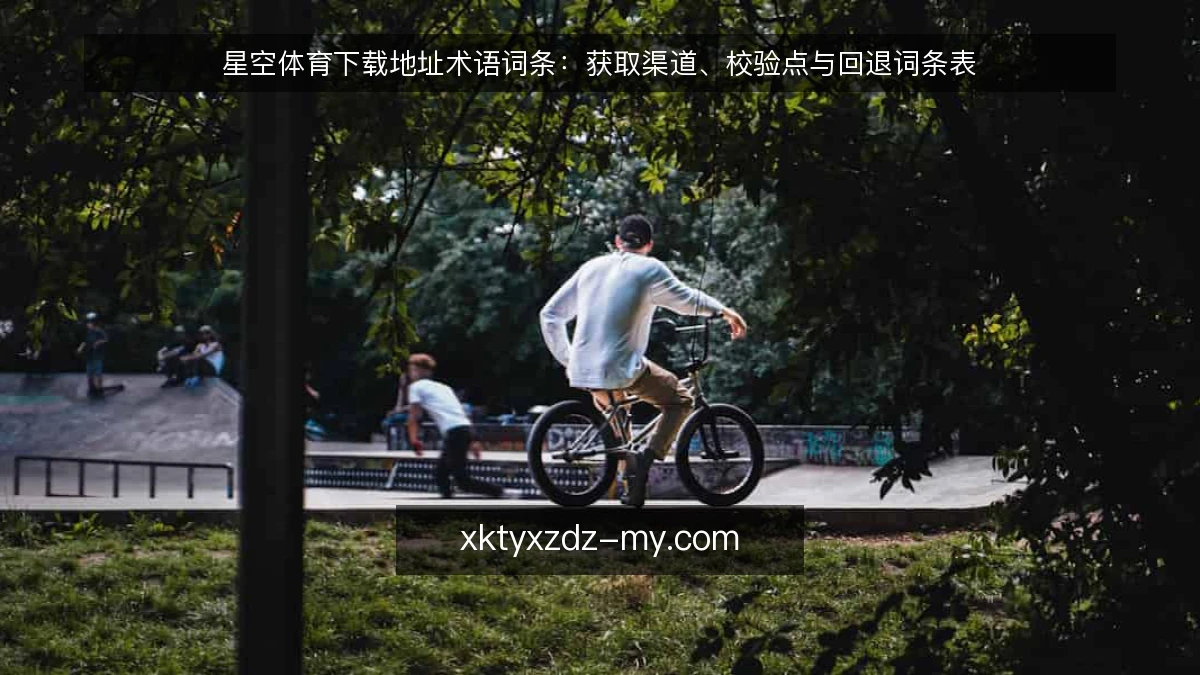 星空体育下载地址术语词条:获取渠道、校验点与回退词条表