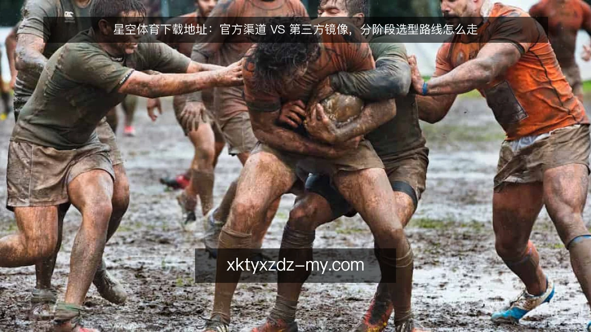 星空体育下载地址：官方渠道 VS 第三方镜像，分阶段选型路线怎么走